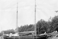 Wetsera_1927-1959